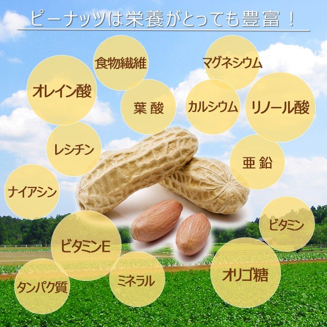 濃厚バターピーナッツ 500g お得用パック