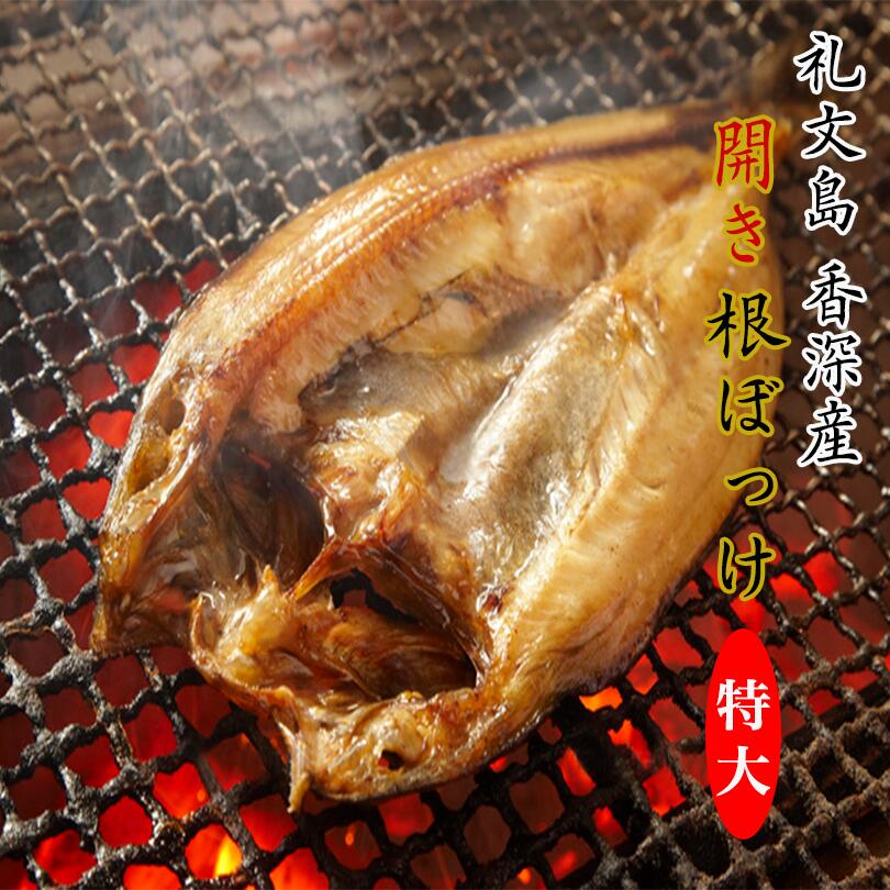 特大 開き根ぼっけ　500ｇ 香深産 北海道 礼文島 干物 北海道産 お土産 プレゼント ギフト ほっけ ホッケ