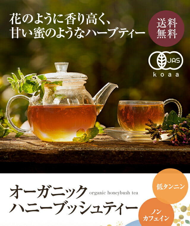 有機JAS オーガニック・ハニーブッシュティー ティーバッグ30包 【送料無料】 【 ノンカフェイン ハーブティー お茶 ポリフェノールたっぷり マタニティ 子どもでも大丈夫 】
