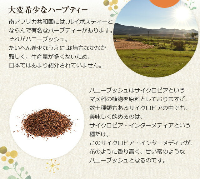 有機JAS オーガニック・ハニーブッシュティー ティーバッグ30包 【送料無料】 【 ノンカフェイン ハーブティー お茶 ポリフェノールたっぷり マタニティ 子どもでも大丈夫 】