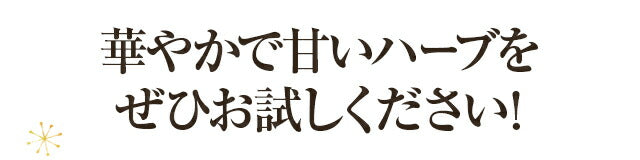 有機JAS オーガニック・ハニーブッシュティー ティーバッグ30包 【送料無料】 【 ノンカフェイン ハーブティー お茶 ポリフェノールたっぷり マタニティ 子どもでも大丈夫 】