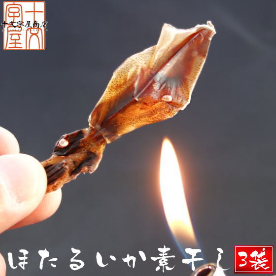 【3人シェア買いでお得】日本海産ほたるいか素干し 25g入り×3袋 メール便送料無料 魚系 おつまみ お試し いか イカ ホタルイカ素干し DM便発送 コロナ 応援 食品 訳あり お取り寄せグルメ 食品ロス 在庫処分