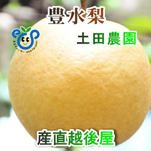 【フルーツ 梨 和梨 豊水 送料無料】新潟県 エコファーマー認定農園 土田農園 有機栽培 豊水梨 贈答用 10kg(18個～28個）【なし 贈答品 プレゼント】