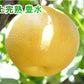 【フルーツ 梨 和梨 豊水 送料無料】新潟県 エコファーマー認定農園 土田農園 有機栽培 豊水梨 家庭用 10kg(18個～28個）【なし 贈答品 プレゼント】