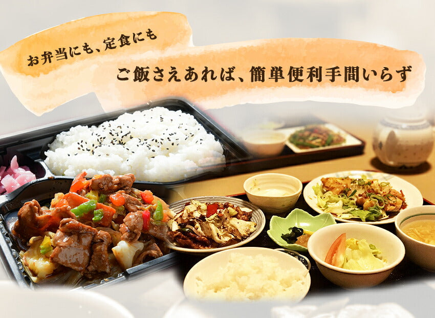回鍋肉丼の具(10パック)