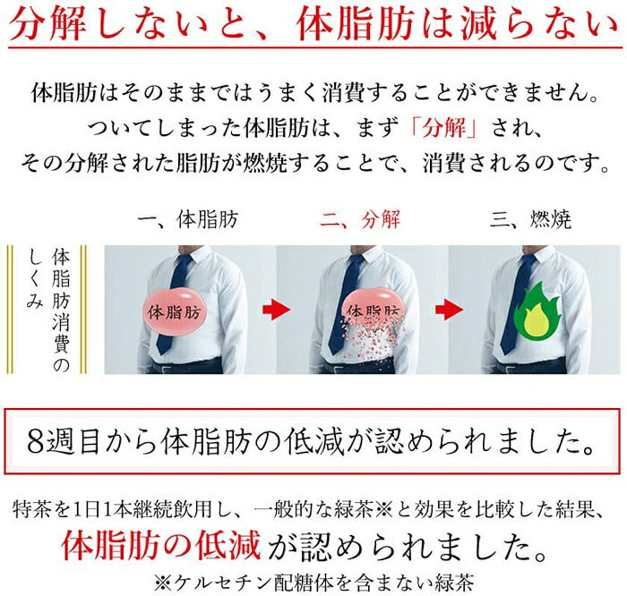 特茶 伊右衛門 特定保健用食品 500ml ペットボトル 選べる 48本 (24本×2) サントリー 〔トクホ お茶〕