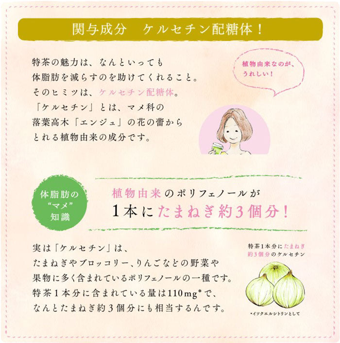 特茶 伊右衛門 特定保健用食品 500ml ペットボトル 選べる 48本 (24本×2) サントリー 〔トクホ お茶〕