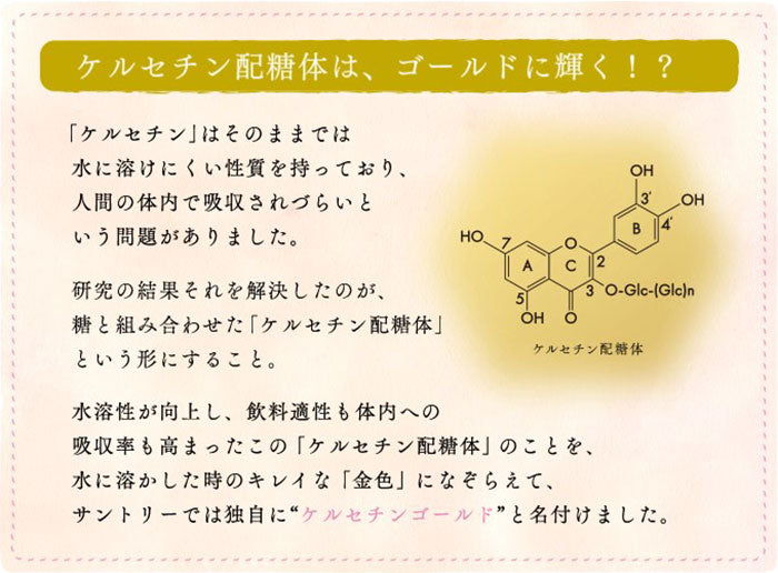 特茶 伊右衛門 特定保健用食品 500ml ペットボトル 選べる 48本 (24本×2) サントリー 〔トクホ お茶〕