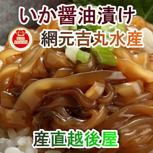 【送料込み】鳥取県 境港市 網元吉丸水産漁師風いか醤油漬け 150g 10パック 冷凍保存