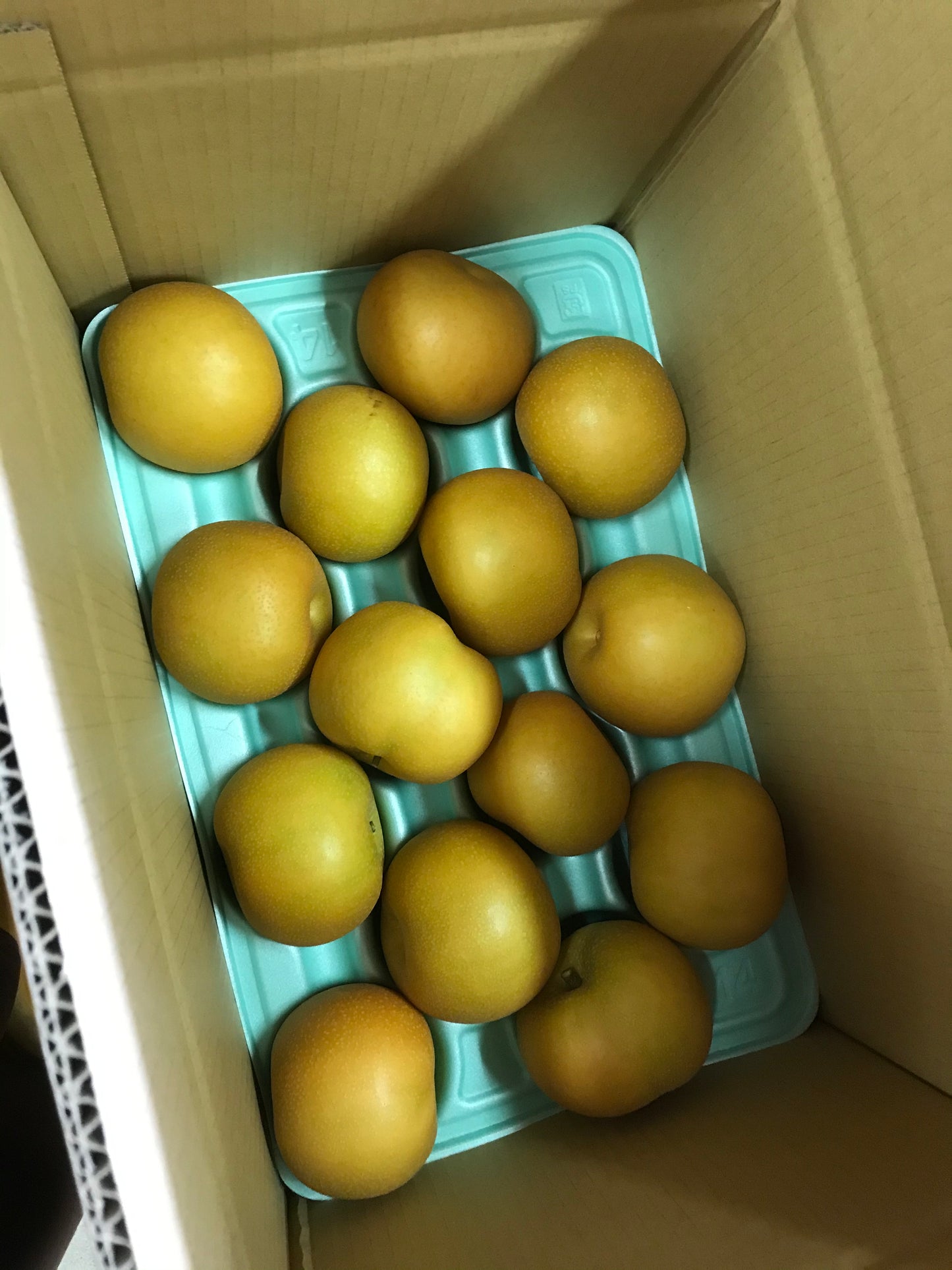 新潟県産 梨 5ｋｇ