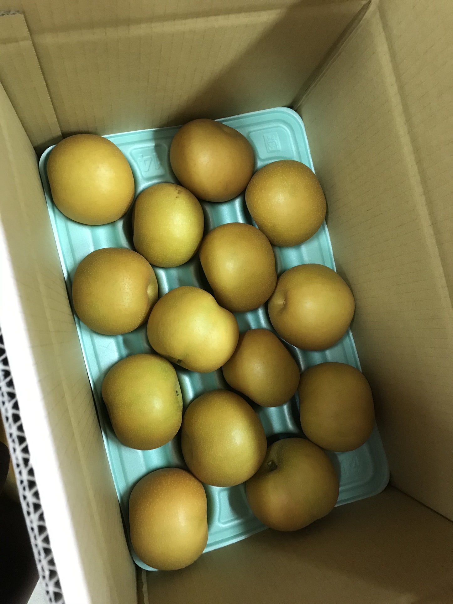 新潟県産 梨 5ｋｇ