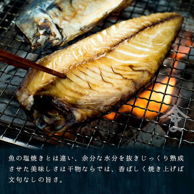 【ベストコレクション】初めての干物セット！ サンマ・金華山沖寒サバ・真ぼっけ・縞ホッケの4種8枚の大ボリュームお試しセット!!