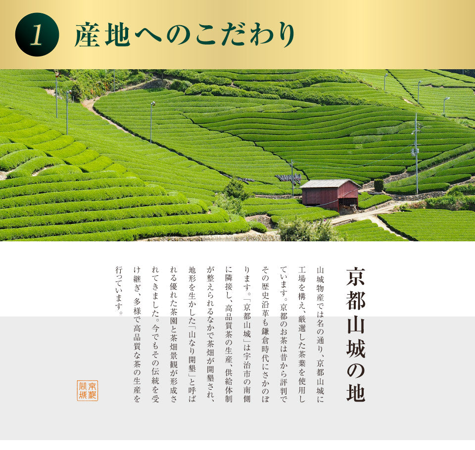 【訳あり２袋セット】和紅茶 国内産 レモングラスをブレンド 5p 紅茶 熊本県 山城
物産 賞味期限22.3.22
