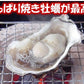 45～60個入り 岡山虫明産 曙牡蠣 2年物殻付きかき 加熱加工用