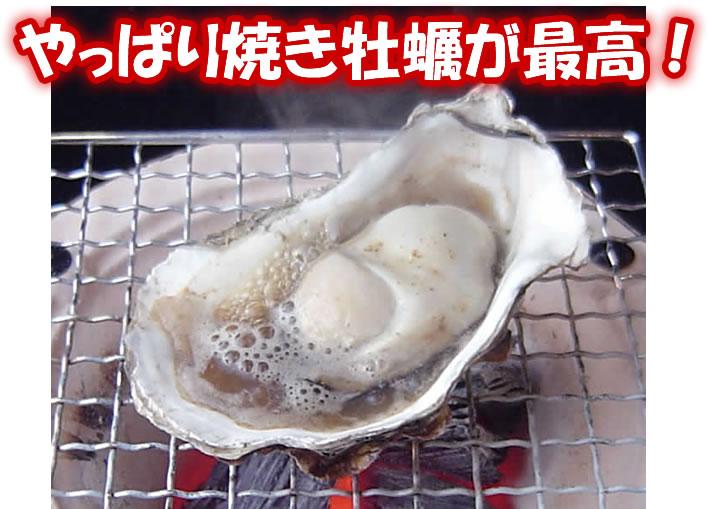 45～60個入り 岡山虫明産 曙牡蠣 2年物殻付きかき 加熱加工用