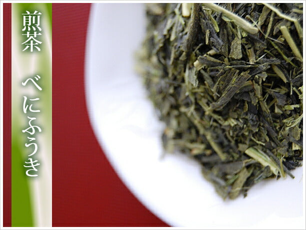 鮮度が違う自家製茶　自然農法のべにふうき茶 緑茶（煎茶）100g x ３袋　夏に美味しい春野産のべにふうき 春のべにふうき屋さん