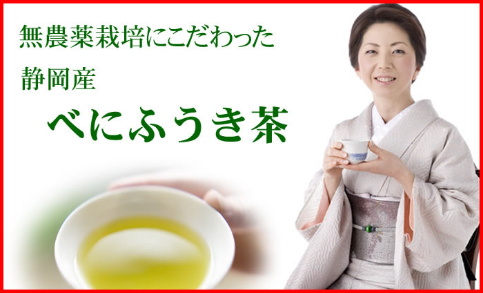 鮮度が違う自家製茶　自然農法のべにふうき茶 緑茶（煎茶）100g x ３袋　夏に美味しい春野産のべにふうき 春のべにふうき屋さん