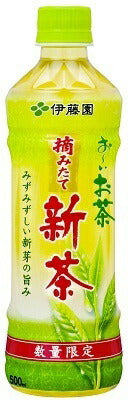 【数量限定品】伊藤園 お〜いお茶 摘みたて新茶 500ml×24本（1ケース）【ご注文は2ケースまで同梱可能です】