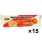 菓道 ビッグカツ とんかつソース味 1枚×15袋 駄菓子 ビックカツ