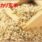 【送料込み】令和４年産 コシヒカリ玄米  新潟産 JA越後ながおか農協新潟県産 特別栽培米 コシヒカリ ５kg  玄米