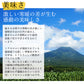 青森県産 嶽きみ 24本セット　とうもろこし　だけきみ