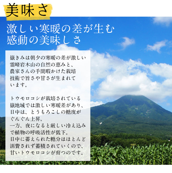 青森県産 嶽きみ 12本セット　とうもろこし　だけきみ