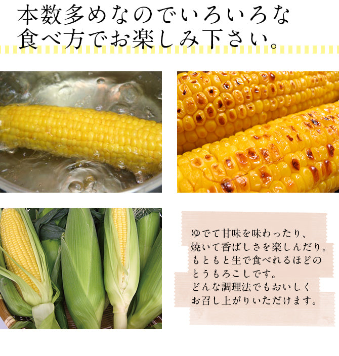 青森県産 嶽きみ 12本セット　とうもろこし　だけきみ