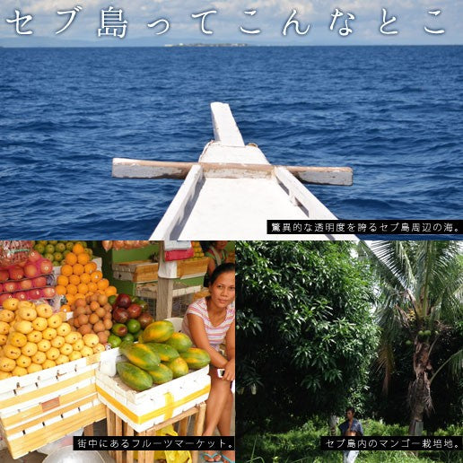 1kg セブ島 半生ドライマンゴー 訳あり 不揃い
