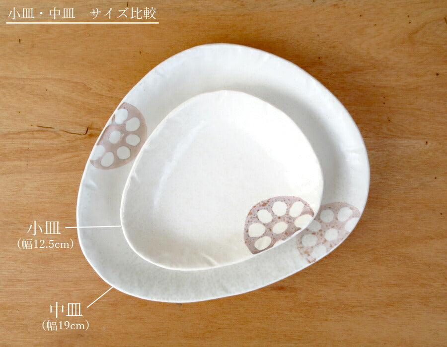 美濃焼 れんこん白 三角中皿 幅19cm 和食器 取り皿 三角皿 おにぎり型 白色 蓮根 レンコン 野菜 磁器 良質 国産 次世代 現代風 和皿  陶器のふる里  stockヤ