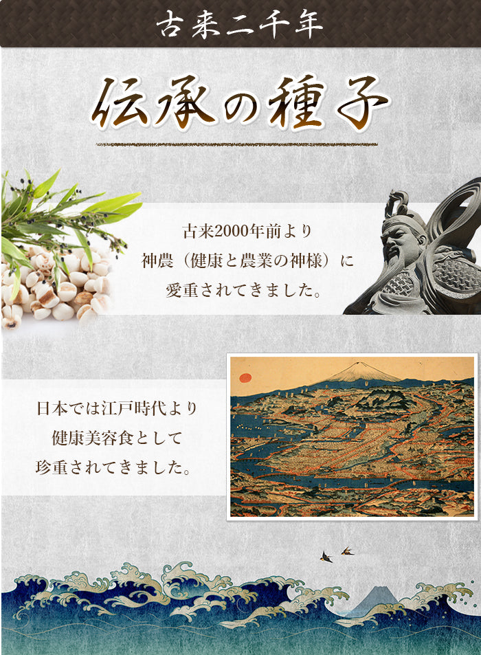 ハトムギ粒 サプリメント 超濃縮 ヨクイニン と同等量配合 《福袋 特別割引価格3個+厳選美容サプリ1000円相当》