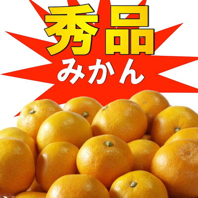 10kg 和歌山県産 みかん ミカン 秀品