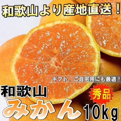 10kg 和歌山県産 みかん ミカン 秀品