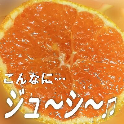 10kg 和歌山県産 みかん ミカン 秀品