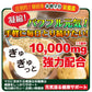 【3人シェア買いでお得】超マカ 高麗人参 クラチャイダム トンカットアリ 牡蠣 亜鉛 サプリメント