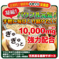 【5人シェア買いでお得】超マカ 高麗人参 クラチャイダム トンカットアリ 牡蠣 亜鉛 サプリメント 《福袋 割引価格２袋+１袋無料》