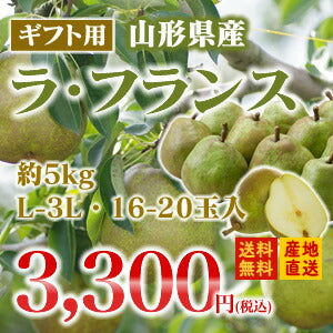 【ギフト】山形県産洋梨ラフランス約5kg(L-3L・16-20玉入り)【送料無料】※九州・沖縄・一部離島を除く