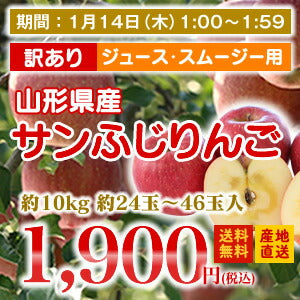 ≪訳あり★ジュース・スムージー専用≫【数量限定】山形県産サンふじりんご約10kg★約24玉〜46玉入り★※九州・沖縄・一部離島を除く