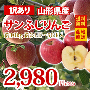 【訳あり★送料無料】山形県産サンふじりんご約10kg★約24玉〜56玉入り★※一部地域は別途送料追加