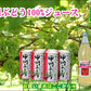 【果実飲料 ブドウジュース 送料無料】山梨県 ＪＡフルーツ山梨産甲州ぶどう100% 195ml 10本天然素材100% ブドウジュース【果物果汁100% 贈答品 ギフト】