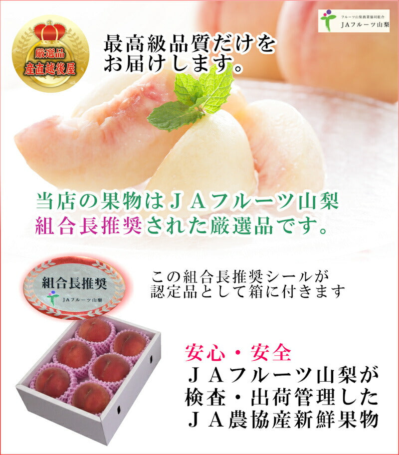 【フルーツ 桃 もも 化粧箱入り】山梨県 ＪＡフルーツ山梨 組合長推奨の 桃(白鳳系)最高品質 化粧箱８個入り 約3kg送料無料【果物 贈答品 ギフト】