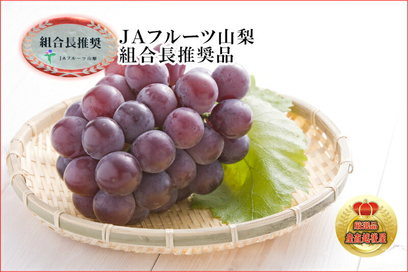 【フルーツ ぶどう ブドウ ハウス栽培】山梨県 ＪＡフルーツ山梨 組合長推奨 種なしピオーネ 最高品質 化粧箱１房入り 約600gＪＡフルーツ山梨から産地直送送料無料【果物 贈答品 ギフト】