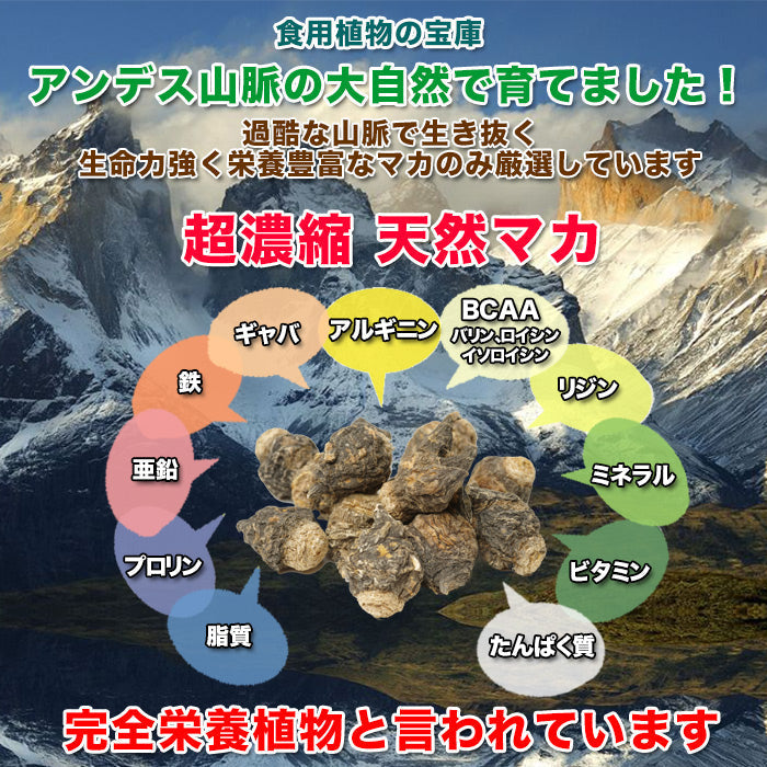 【5人シェア買いでお得】超マカ 高麗人参 クラチャイダム トンカットアリ 牡蠣 亜鉛 サプリメント 《福袋 割引価格２袋+１袋無料》