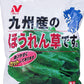 ほうれんそう【冷凍】【ニチレイ】九州産　ほうれん草 700g（冷凍食品） COSTCO/コストコ/通販/ニチレイ/九州産/ほうれん草/野菜/食品/冷凍＃8