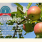 【フルーツ りんご 青森りんご 送料無料】青森県弘前市 赤石りんご園青森りんご トキ 2.5kg（7玉～12玉）通常品期間限定 樹上完熟りんご【リンゴ 果物 贈答品 ギフト】