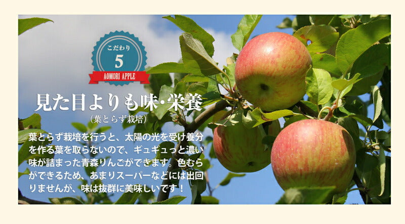 【フルーツ りんご 青森りんご 送料無料】青森県弘前市 赤石りんご園青森りんご 紅玉 4.5kg（14玉～24玉）通常品 樹上完熟りんご【リンゴ 果物 贈答品 ギフト】