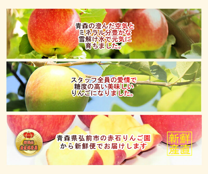 【フルーツ 青森 りんご ジュース】青森県弘前市 赤石りんご園まるごと絞った100％りんごジュース完熟りんご使用 1000ml 6本入送料無料【リンゴ 果物 贈答品 ギフト】