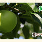 【フルーツ りんご 青森りんご 黄王】青森県弘前市 赤石りんご園青森りんご 早生黄王 2.5kg（6玉～10玉）通常品送料無料 クール便【リンゴ 果物 贈答品 ギフト】