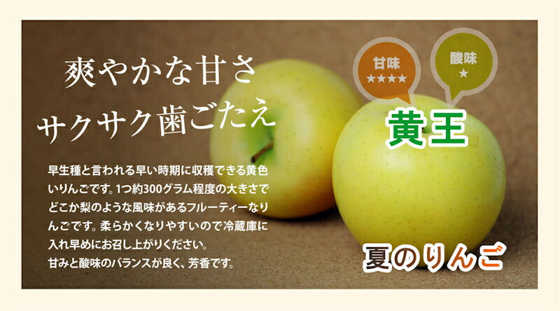 【フルーツ りんご 青森りんご 黄王】青森県弘前市 赤石りんご園青森りんご 早生黄王 4.5kg（13玉～20玉）通常品送料無料 クール便【リンゴ 果物 贈答品 ギフト】
