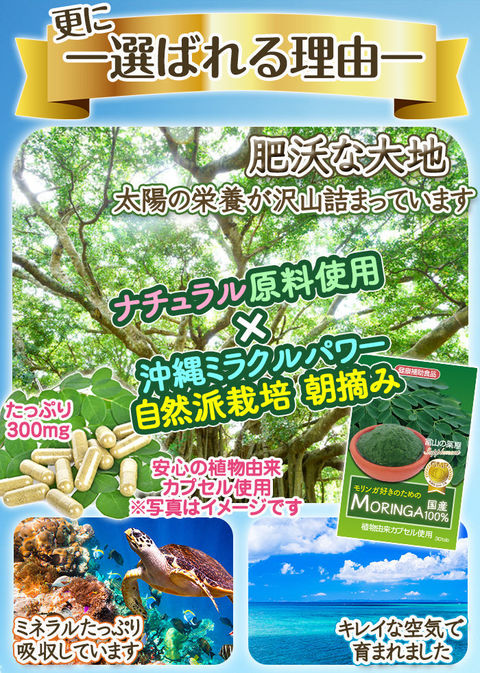 【3人シェア買いでお得】モリンガ サプリ 「 モリンガ 好きのための モリンガ 」 国産 天然栽培原料使用