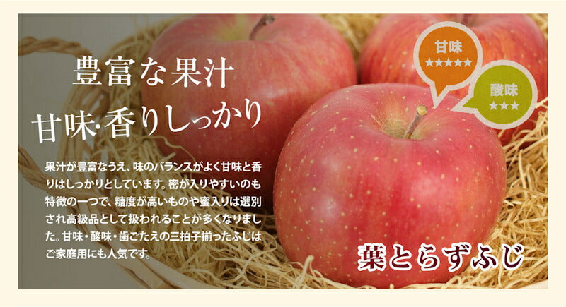 【フルーツ りんご 青森りんご 津軽ふじ】青森県弘前市 赤石りんご園青森りんご 早生弘前ふじ 2.5kg（6玉～10玉）通常品送料無料 早生りんご【リンゴ 果物 贈答品 ギフト】